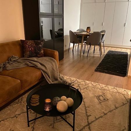 Amazing City Center Apartment Rovaniemi Exterior foto